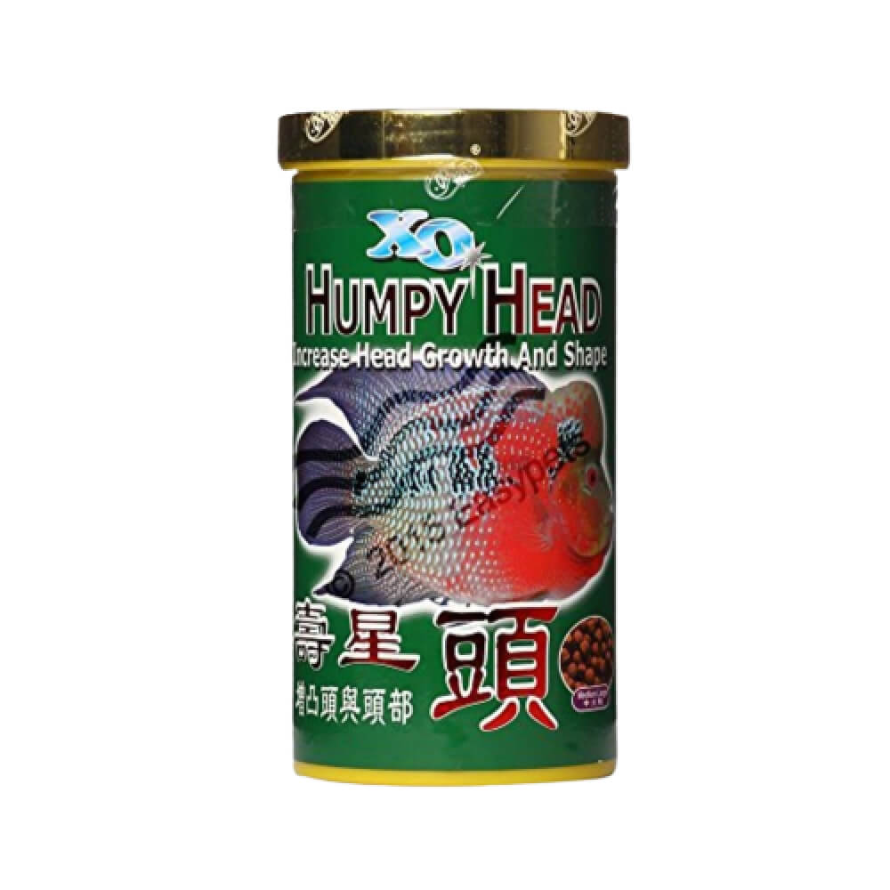 XO Humpy Head100gm/280ml