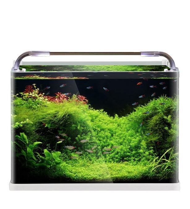 Curved glass Aquarium Tank | Size L*W*H = 30*17*20 cm | Extra Clear | 5mm