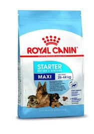 Royal Canin Maxi Starter Food 4 Kg