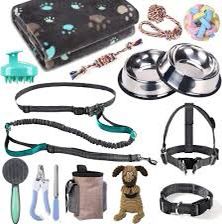 Dog Accessories